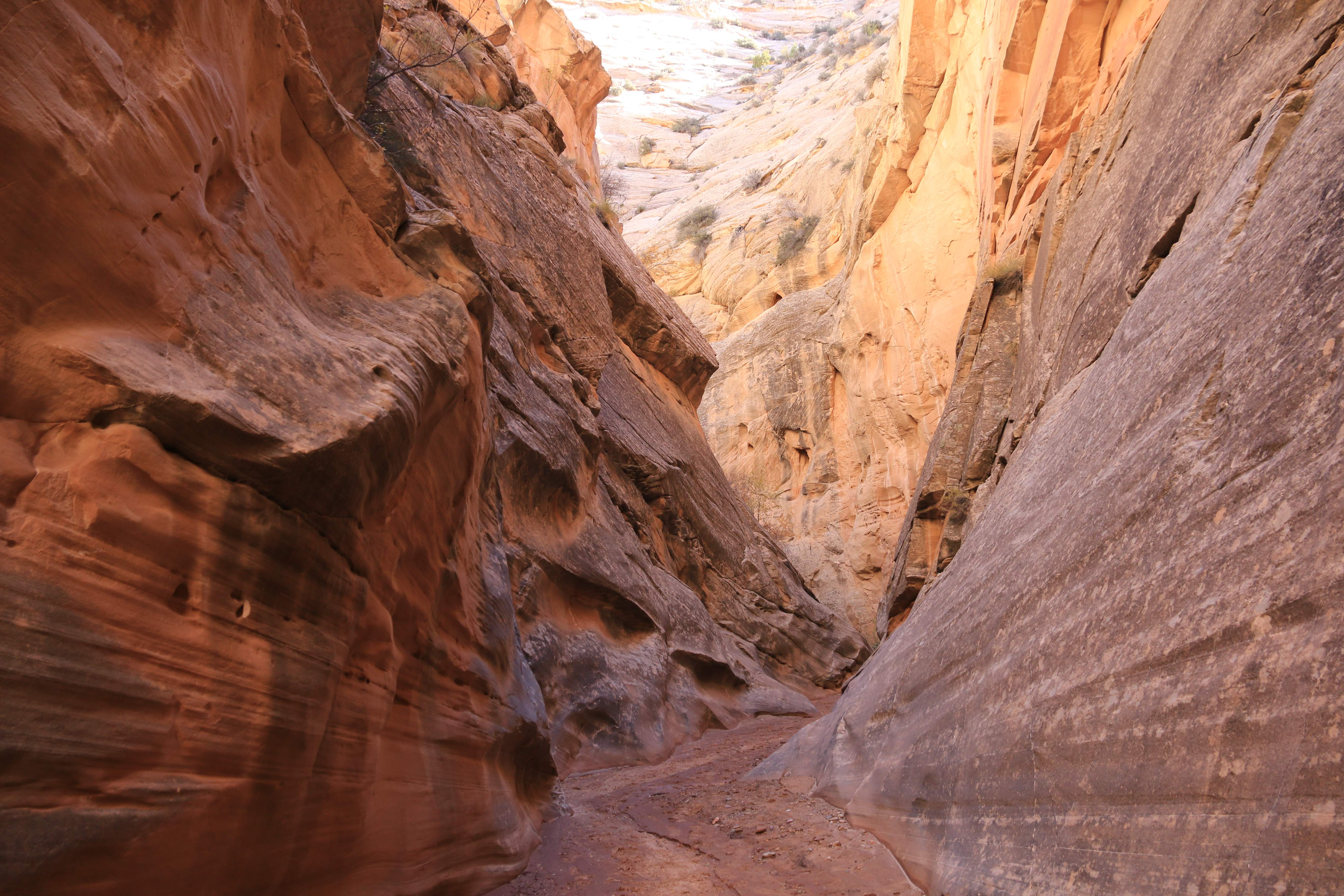 Escalante